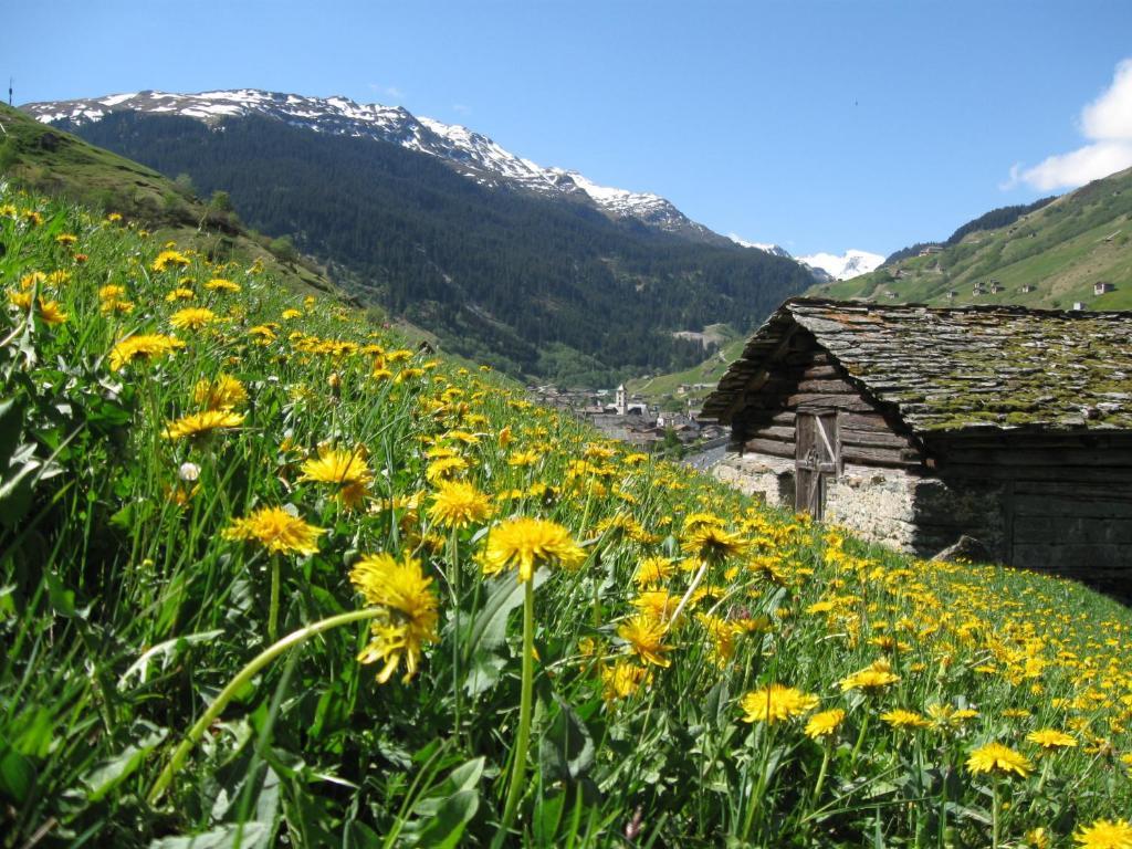 Ferienwohnung Mura Vals Bagian luar foto